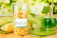 Sanna biofuel availability